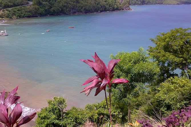 St. Lucia Tet Paul Nature Trail Tour - How the $145 price works for you