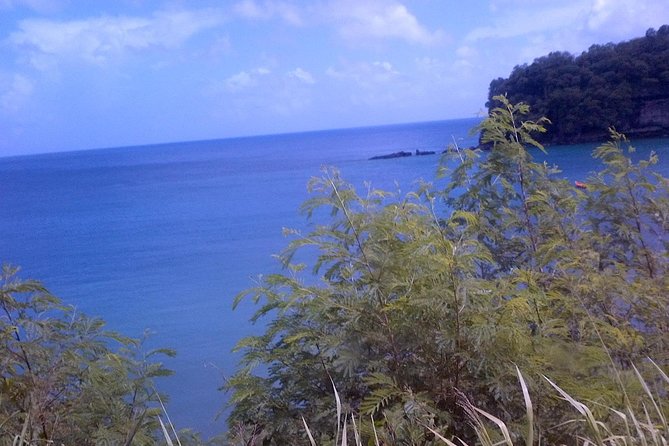 St. Lucia Tet Paul Nature Trail Tour - Who will enjoy this outing most