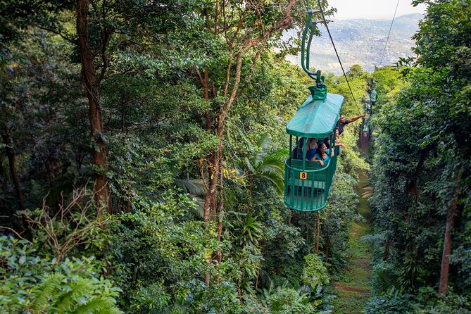 St Lucia Ultimate 3: Aerial Tram, Zipline and Hiking at Rainforest Adventures - Quick take on St. Lucia’s Ultimate 3
