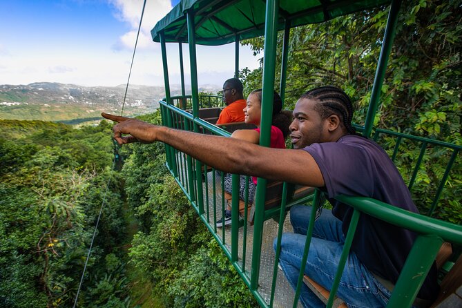 St Lucia Ultimate 3: Aerial Tram, Zipline and Hiking at Rainforest Adventures - Three ways to see the rainforest