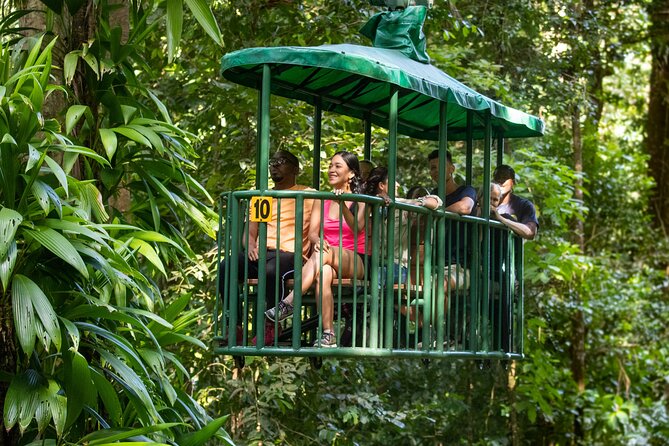 St Lucia Ultimate 3: Aerial Tram, Zipline and Hiking at Rainforest Adventures - The aerial tram to the top station