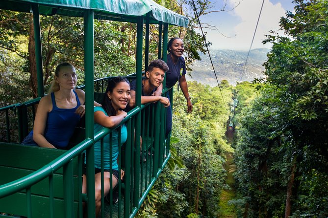 St Lucia Ultimate 3: Aerial Tram, Zipline and Hiking at Rainforest Adventures - What the $115 price buys you
