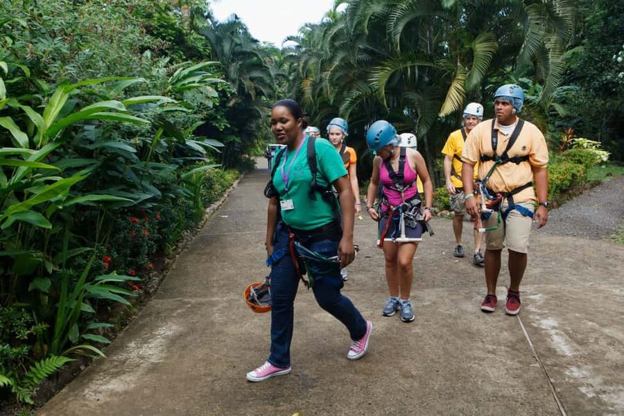 St Lucia Ultimate 3 Package: Aerial Tram Zip Line & Hiking - Aerial tram views through St. Lucia’s oldest rainforest