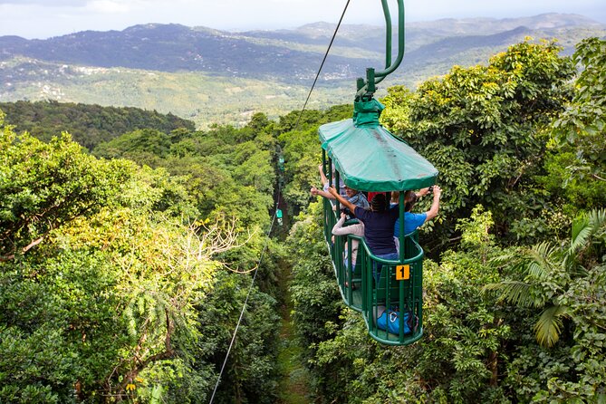 St Lucia Ultimate 3 Package: Aerial Tram, Zipline and Hiking - Three Ways to See the Castries Waterworks Forest Reserve