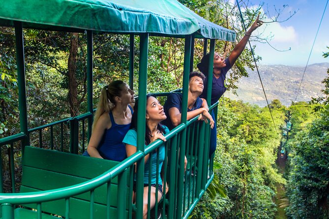 St Lucia Ultimate 3 Package: Aerial Tram, Zipline and Hiking - The Aerial Tram Is the Calm Beginning