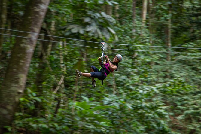 St Lucia Ultimate 3 Package: Aerial Tram, Zipline and Hiking - How Much Value Do You Get for $109?