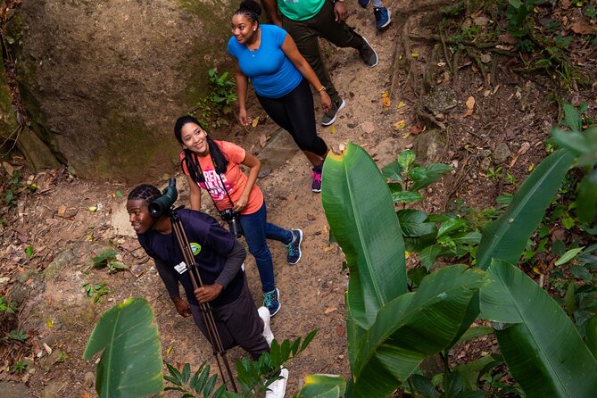St Lucia Ultimate 3 Package: Aerial Tram, Zipline and Hiking - What the Five Hours Feel Like