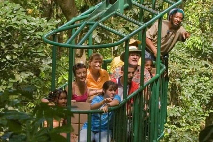 St. Lucia: Zip Line, Aerial Tram, and Hiking Tour - Key points to know before you book