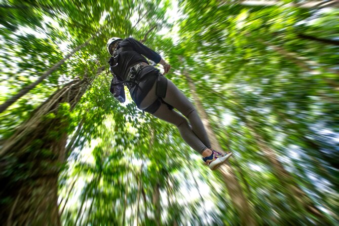 St. Lucia Zip line, Aerial Tram and Hiking tour Ultimate 3 - The return hike is part of the workout