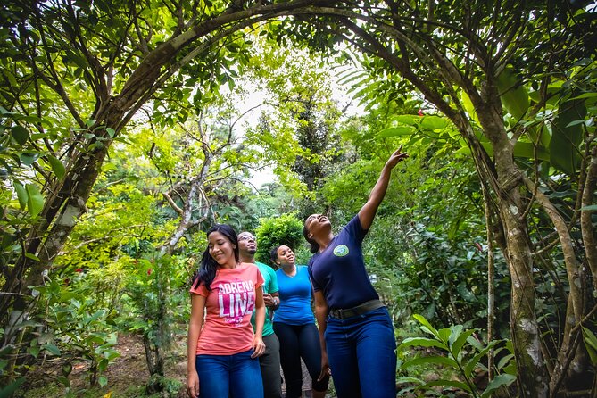 St. Lucia Zip line, Aerial Tram and Hiking tour Ultimate 3 - What the $95 price gets you