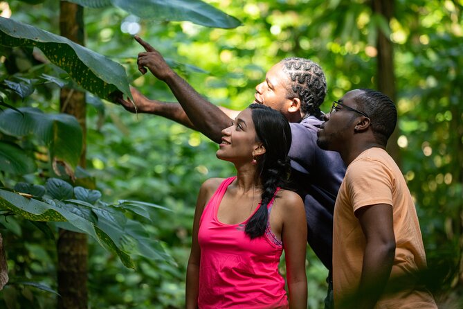 St. Lucia Zip line, Aerial Tram and Hiking tour Ultimate 3 - Small details that make the morning easier