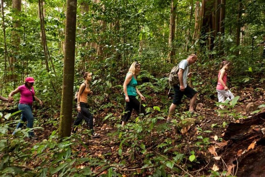 St. Lucia: Zip Line, Aerial Tram, and Hiking Tour - The aerial tram starts the day at a gentle pace