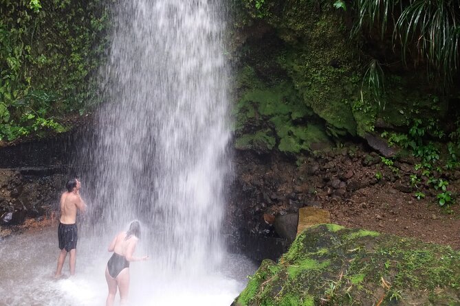 Sulphur Springs Mud Bath and Toraille Waterfall Tour with Creole Lunch - The best parts of this six-hour St. Lucia outing