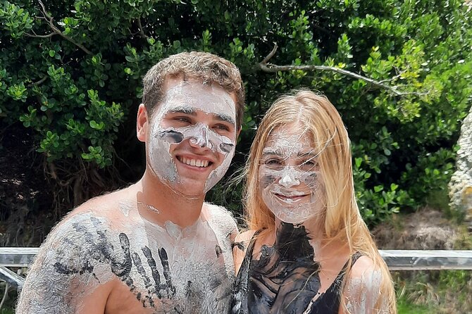 Sulphur Springs Mud Bath and Toraille Waterfall Tour with Creole Lunch - Who should book this excursion?