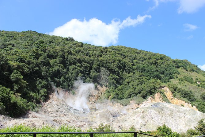 The Best of Saint Lucia Tour - Is $150 a fair price?