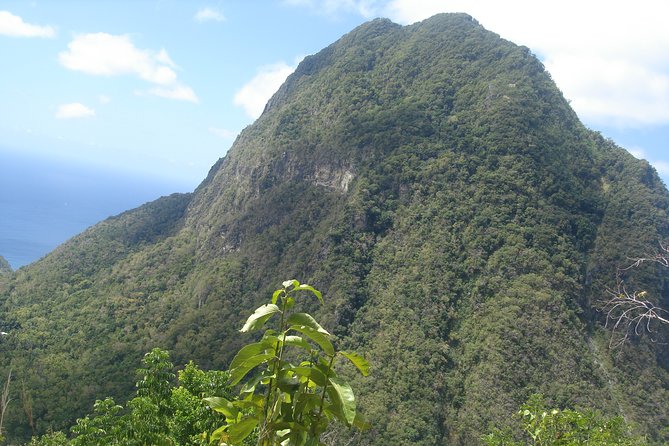 The Best of Saint Lucia Tour - Diamond Falls Botanical Gardens slow the pace