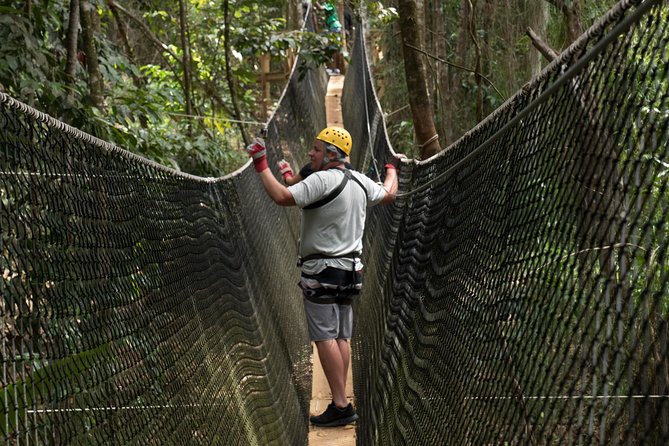 Treetop Adventure Park Canopy Tour - Twelve ziplines through St. Lucias rainforest