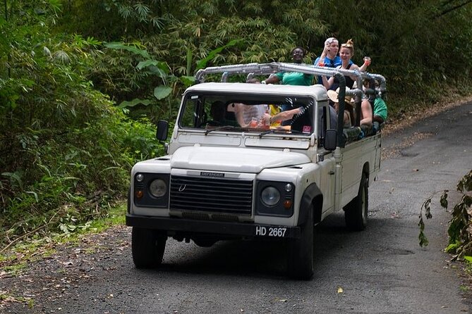 Treetop Adventure Park Canopy Tour - Photos, videos, and the small details that help