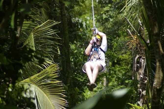 Treetop Adventure Park Canopy Tour - Timing, cancellations, and practical planning