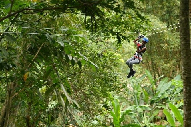 Treetop Adventure Park Canopy Tour - What happens before you reach the first platform