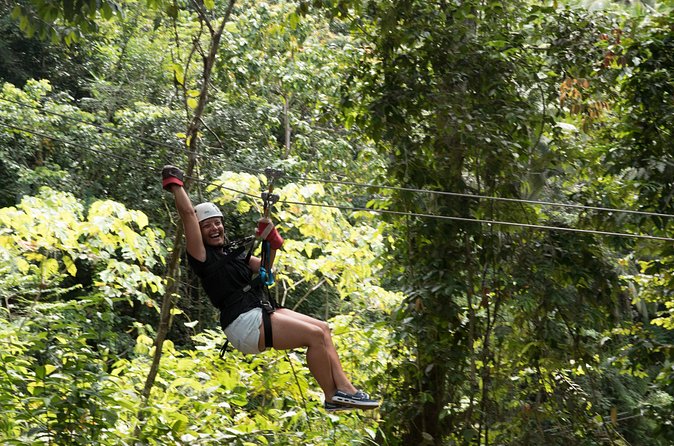 Treetop Canopy Adventure - The views from 150 feet up
