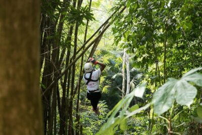 Treetop Canopy Adventure