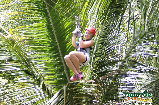 Treetop Canopy Adventure - What the $92.31 price really covers