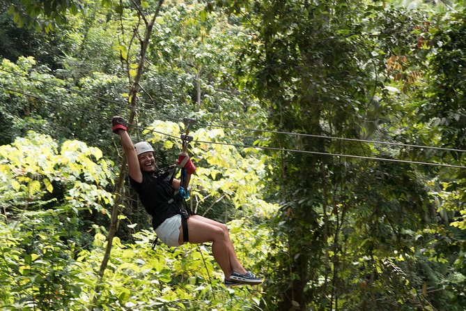 Treetop Canopy Adventure - The main drawbacks to weigh