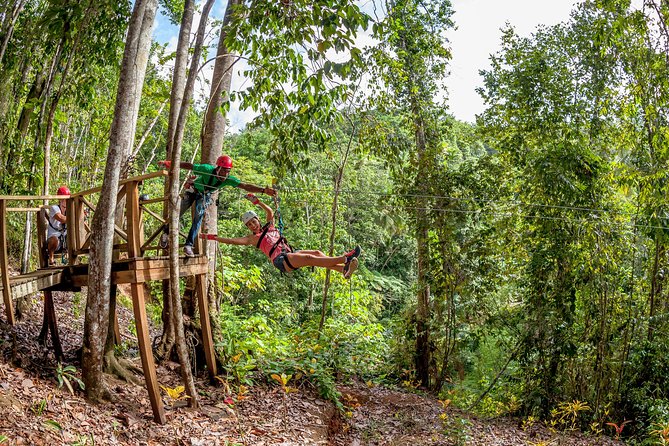 Treetop Zipline Experience From Castries - Twelve rainforest lines above St Lucia