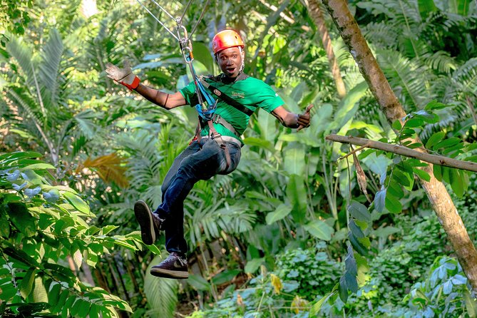 Treetop Zipline Experience From Castries - Is $121.60 a fair price?
