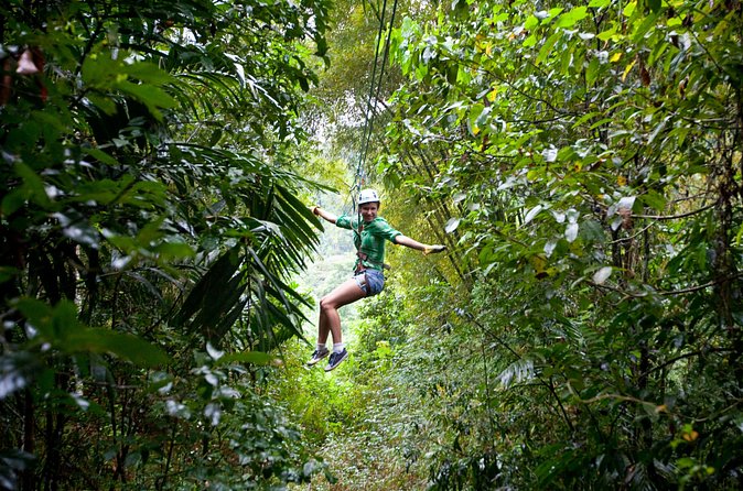 Treetop Zipline Experience From Castries - Who should book this St Lucia zipline?