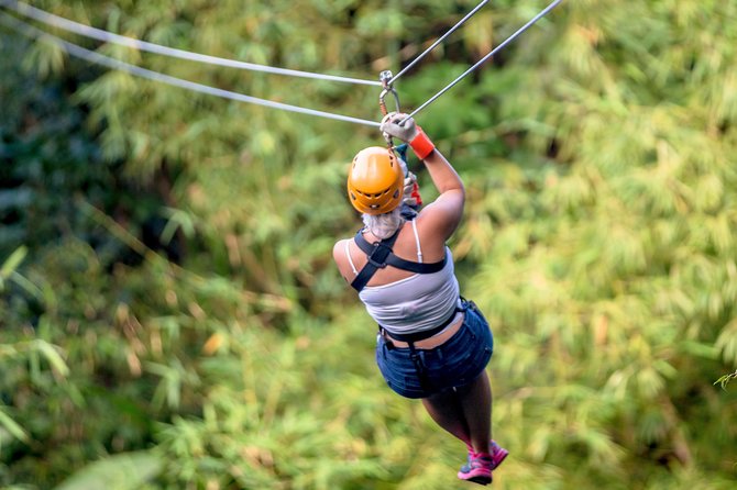 Treetop Zipline Experience From Castries - What happens after pickup at 11:30