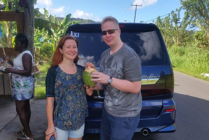 Trip to Soufiere: Volcano, Twin Pitons, Waterfall, Mud Bath & Botanical Garden - The Twin Pitons close to Soufrière