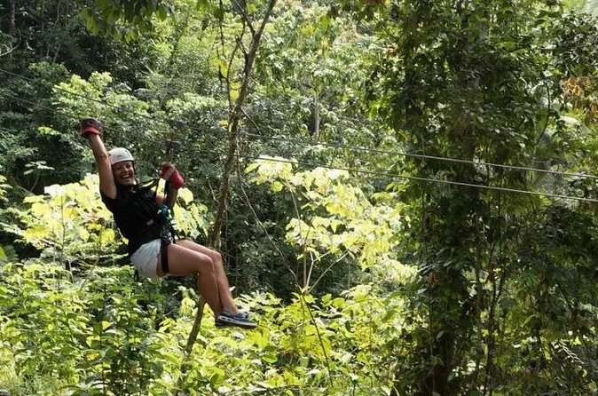 Triple Adventure - Jeep Safari - Walking beneath the rainforest canopy
