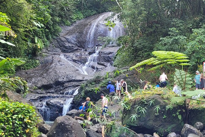 Waterfall and Beach Safari in Santa Lucia - The guides are a major part of the value