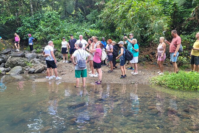 Waterfall and Beach Safari in Santa Lucia - Is $96.50 a fair price?