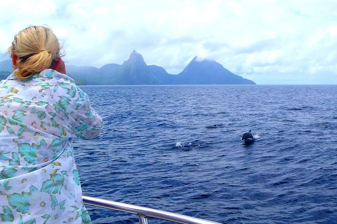 Whale and Dolphin Watching Cruise in St Lucia - Is $65 a fair price?