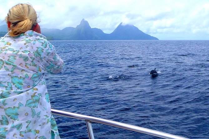 Whale Watching and Dolphin Spotting Cruise - Key points at a glance