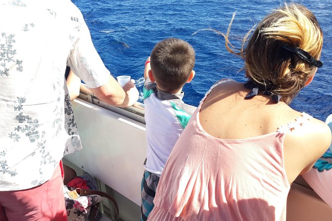 Whale Watching and Dolphin Spotting Cruise - Is $88 a fair price?