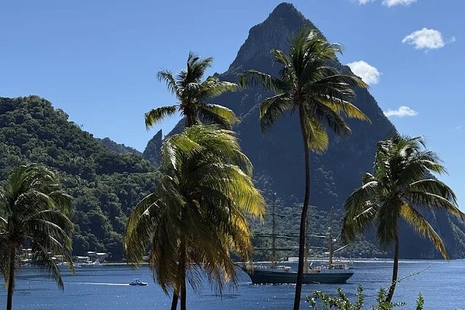 Wow Tours St. Lucia (COVID-19 Certified) - Key Points To Know Before You Go